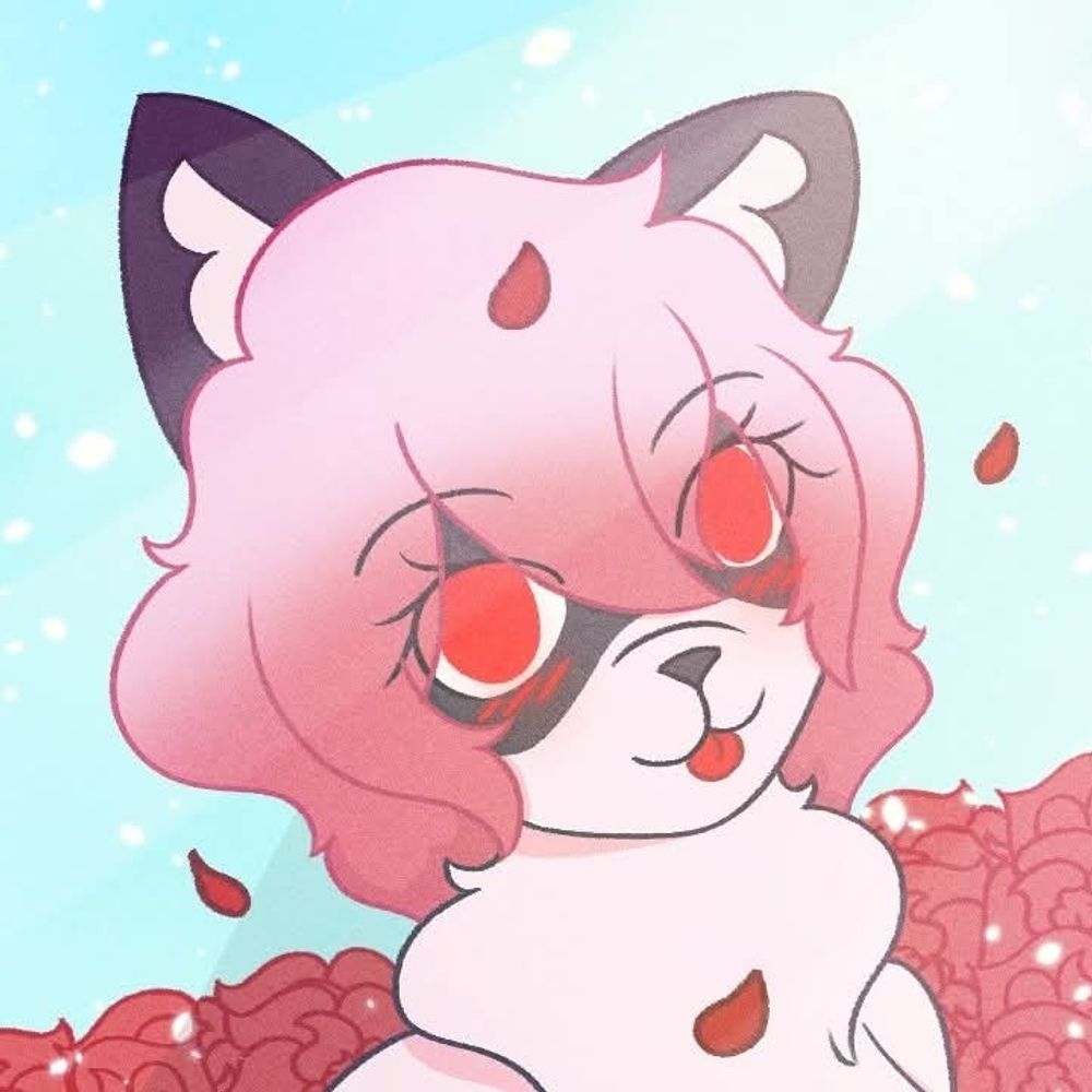 Shiraccoon!