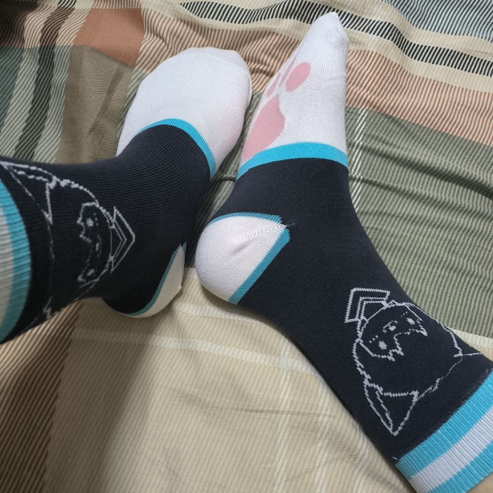 倏皞