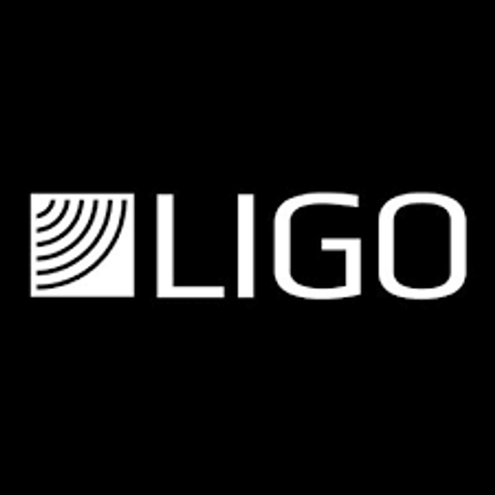 LIGO Scientific Collaboration