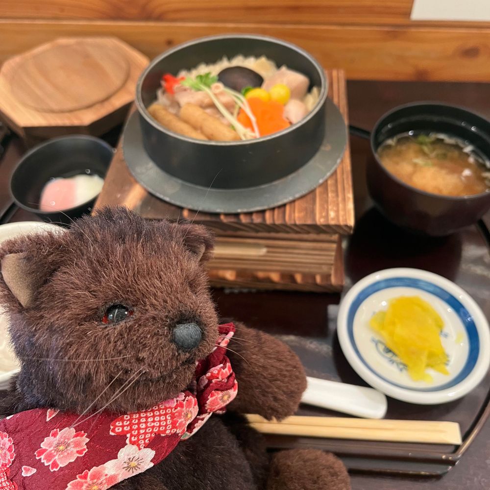 伽野