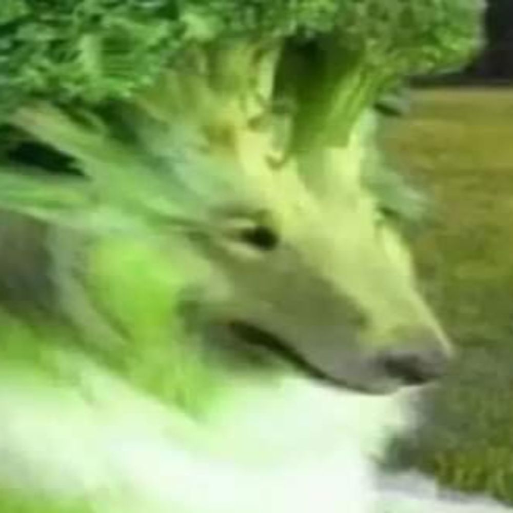 Jester Scrolling