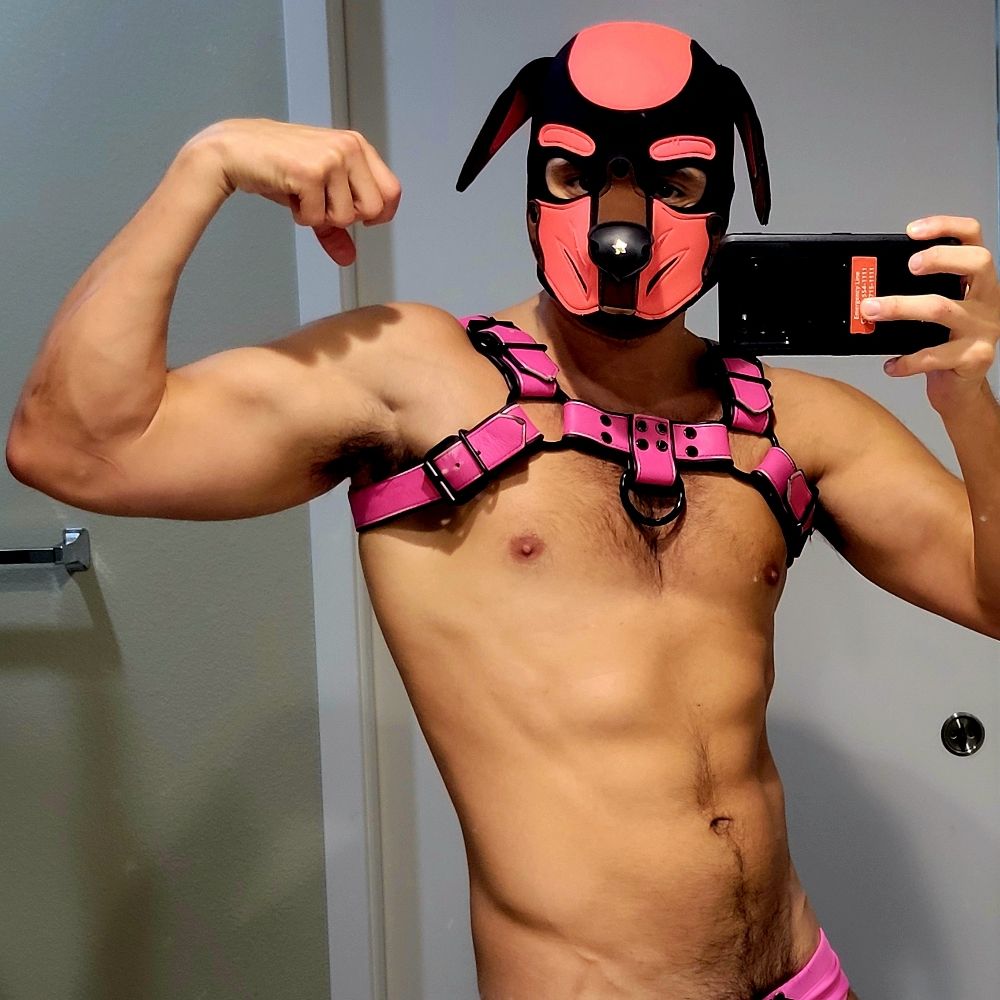 Pup Falsy