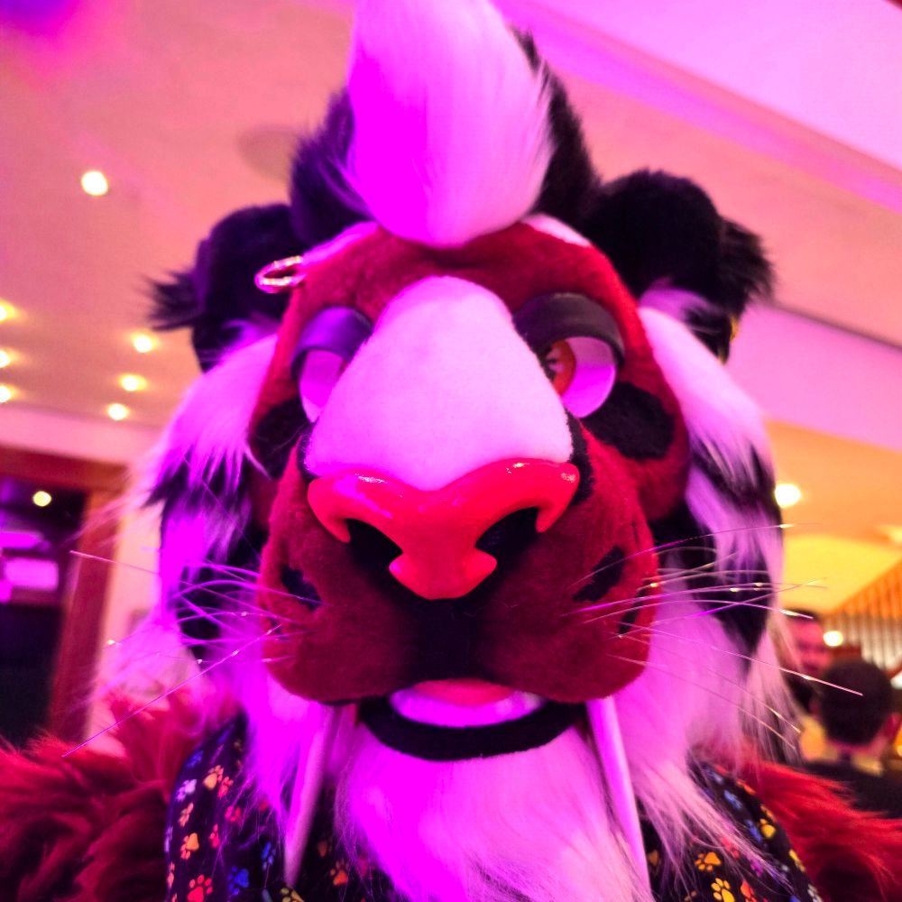 Sabertooth tiger Muffin, Pre-Ph.D