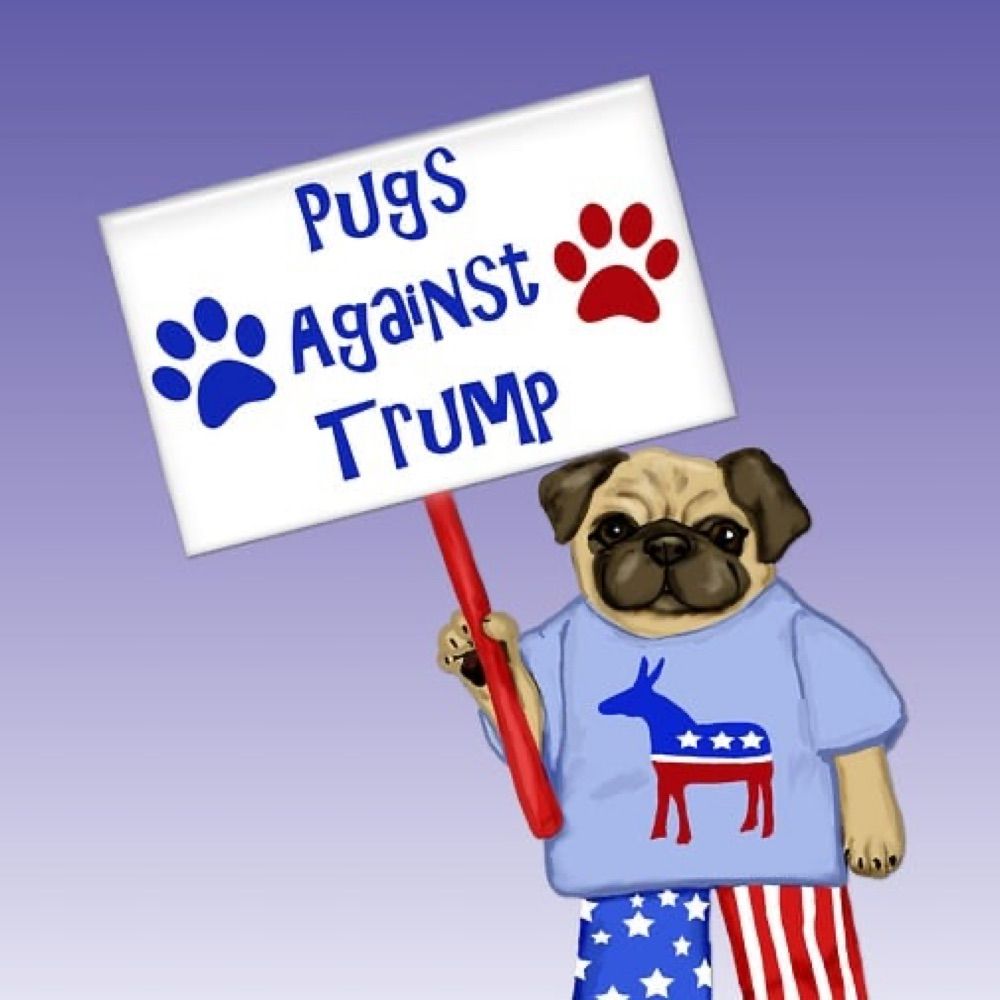 Profile picture politicalpug.bsky.social