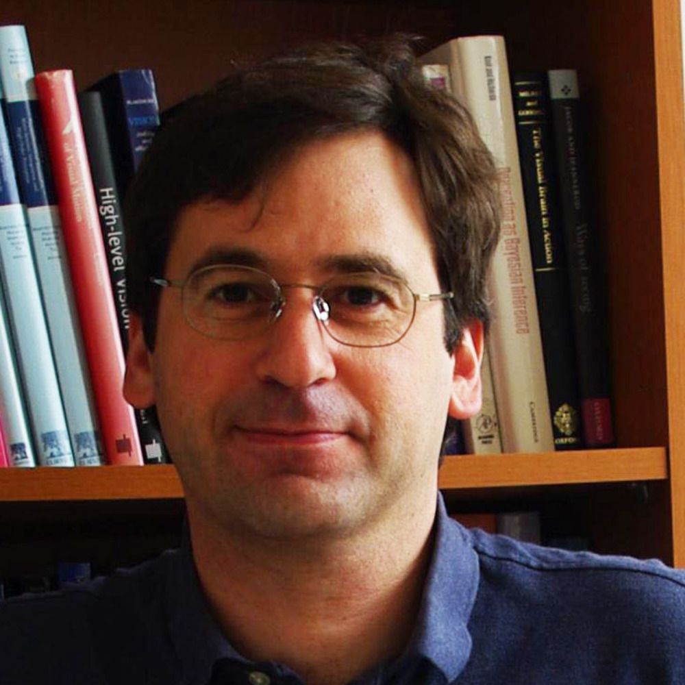Pascal Mamassian