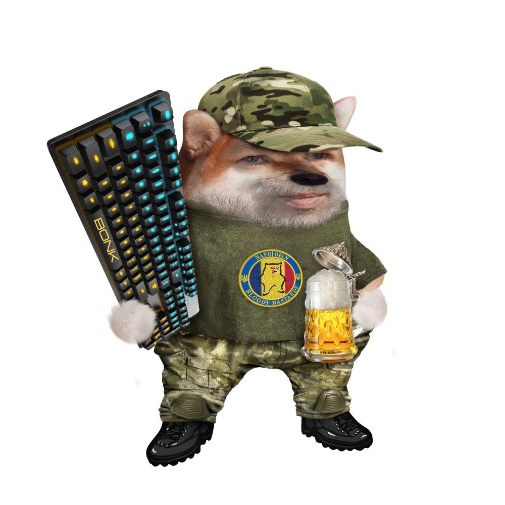 Dan Dragomir NAFO Fella 💪 🇺🇦🇷🇴