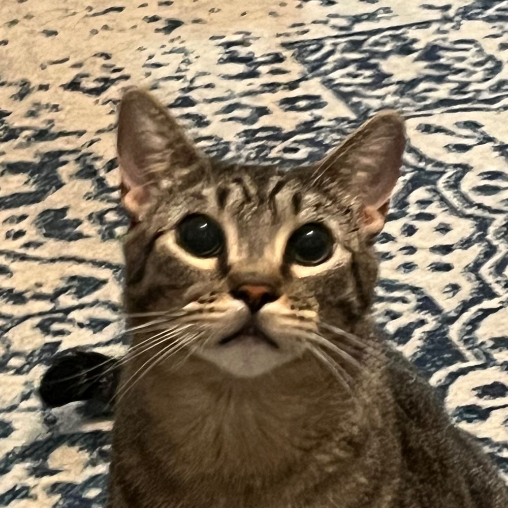 Stuart