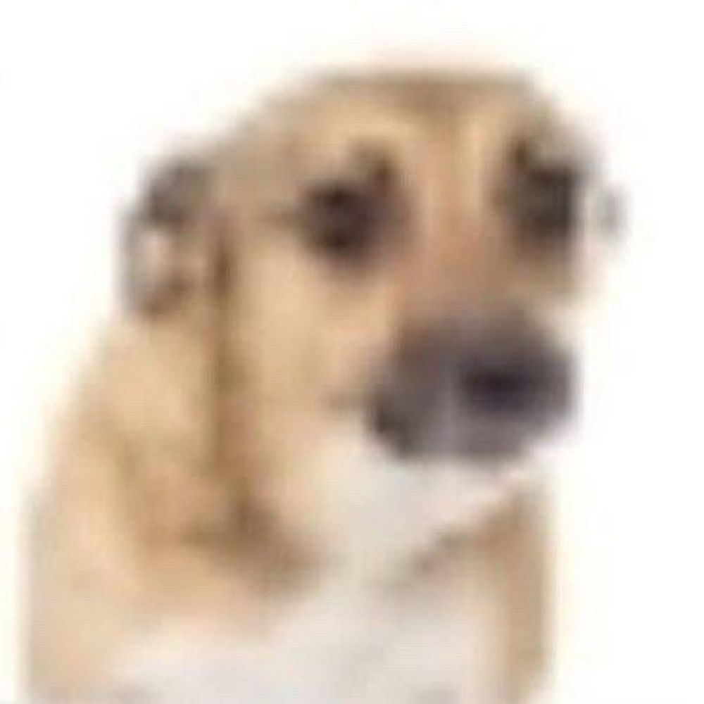 Lis