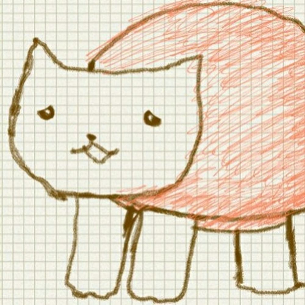 ねこかめ