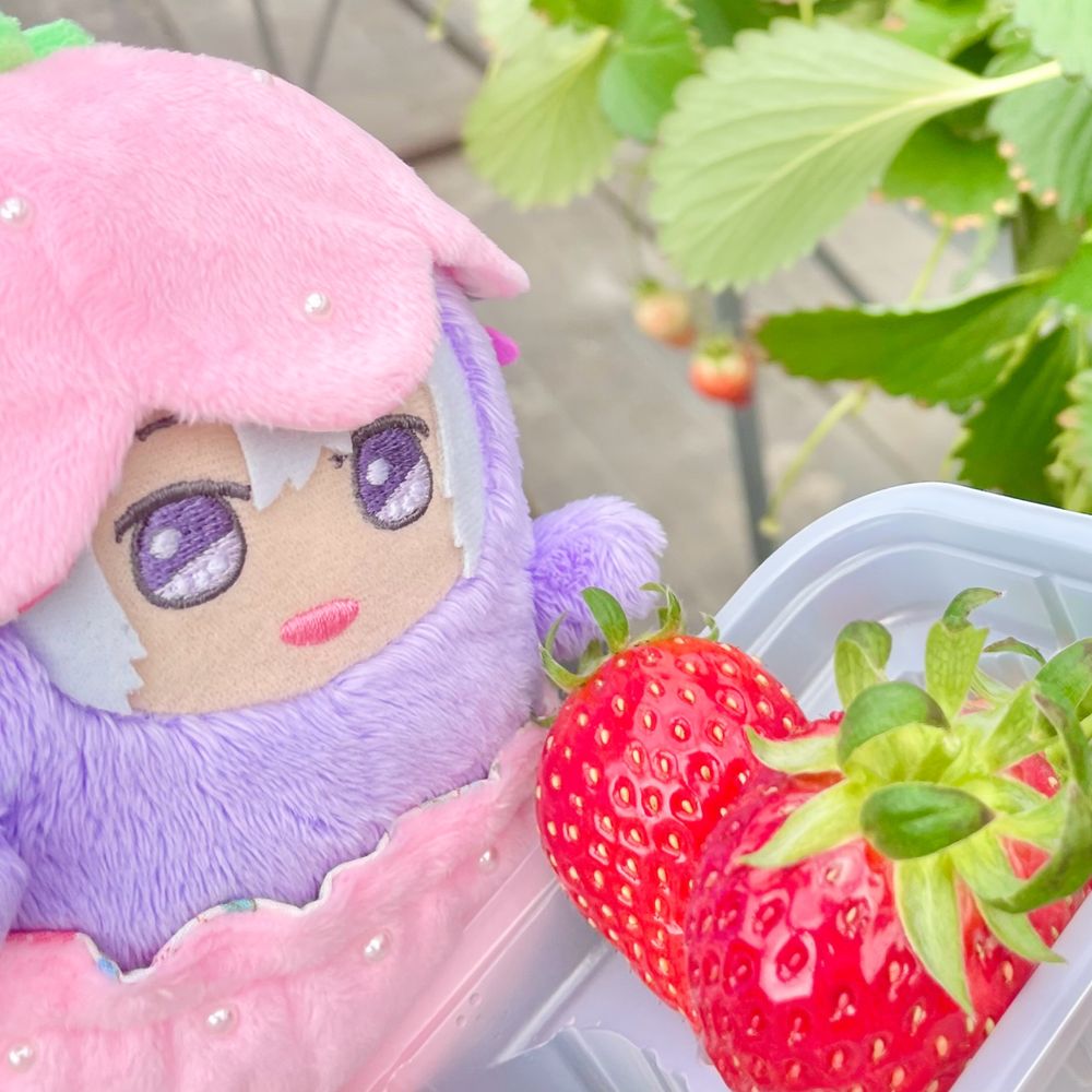 ﾓﾆﾓﾆ🍖