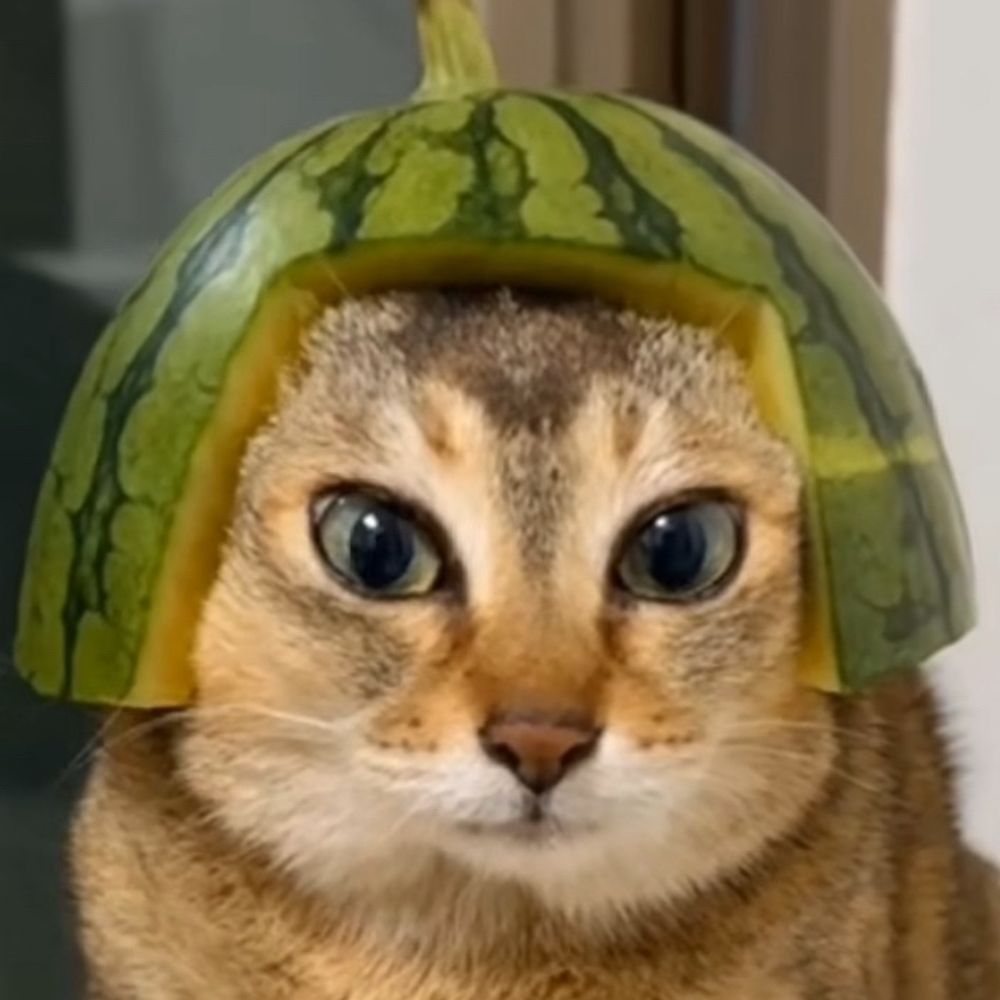 veggieburgerfan