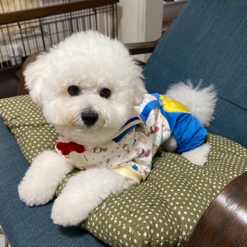 おぜう様