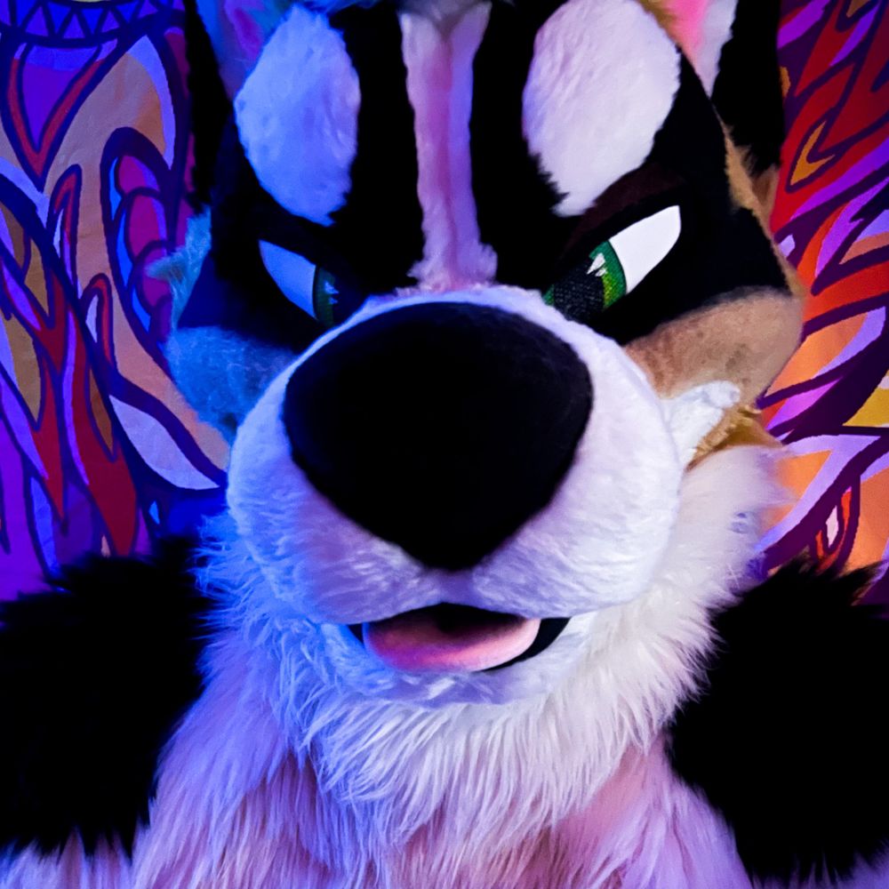 Danger Akita