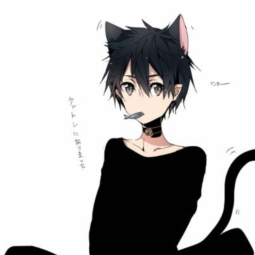 🐈‍⬛🐾🖤🦴