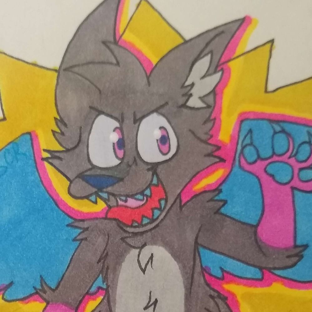 Catsy