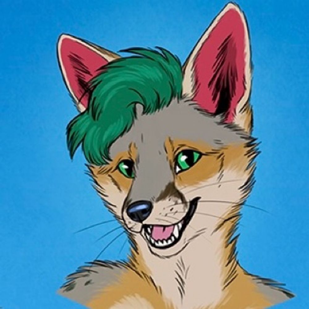 Cactus Fox 🌵🦊's avatar