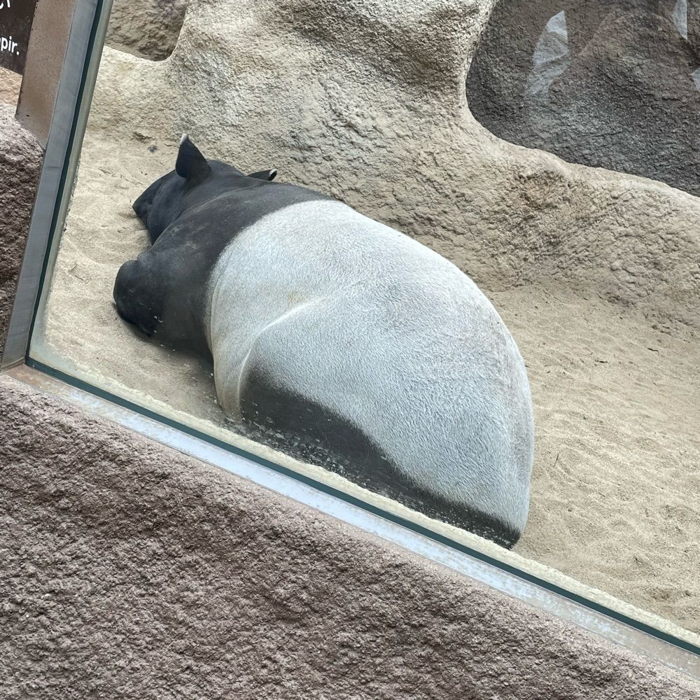 ぬくとー
