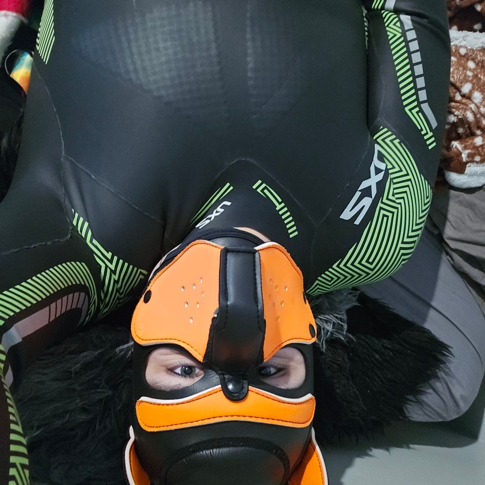 Some Foxpuppy!