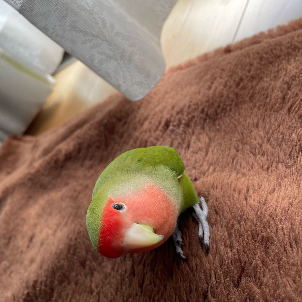 みさと