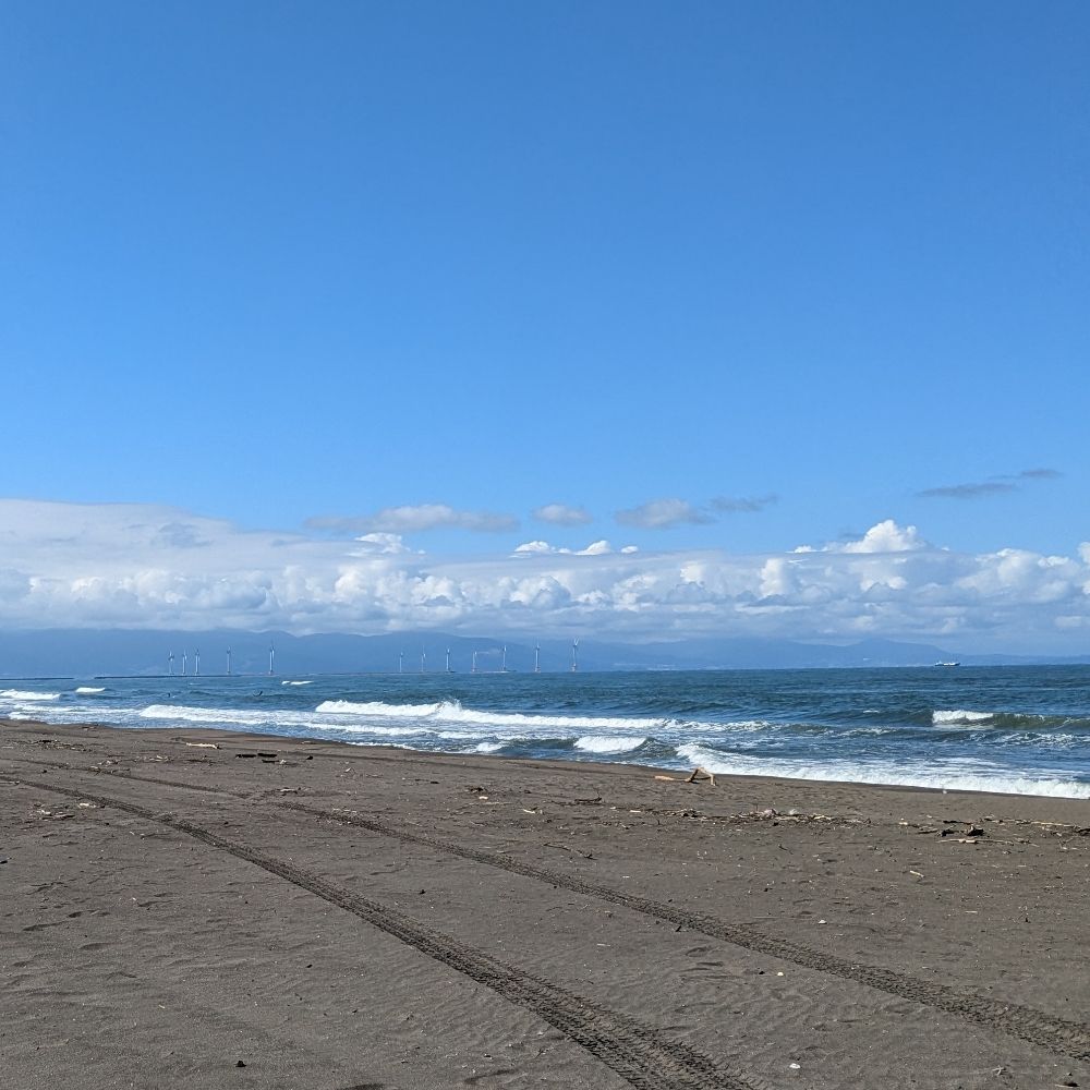 笹来野