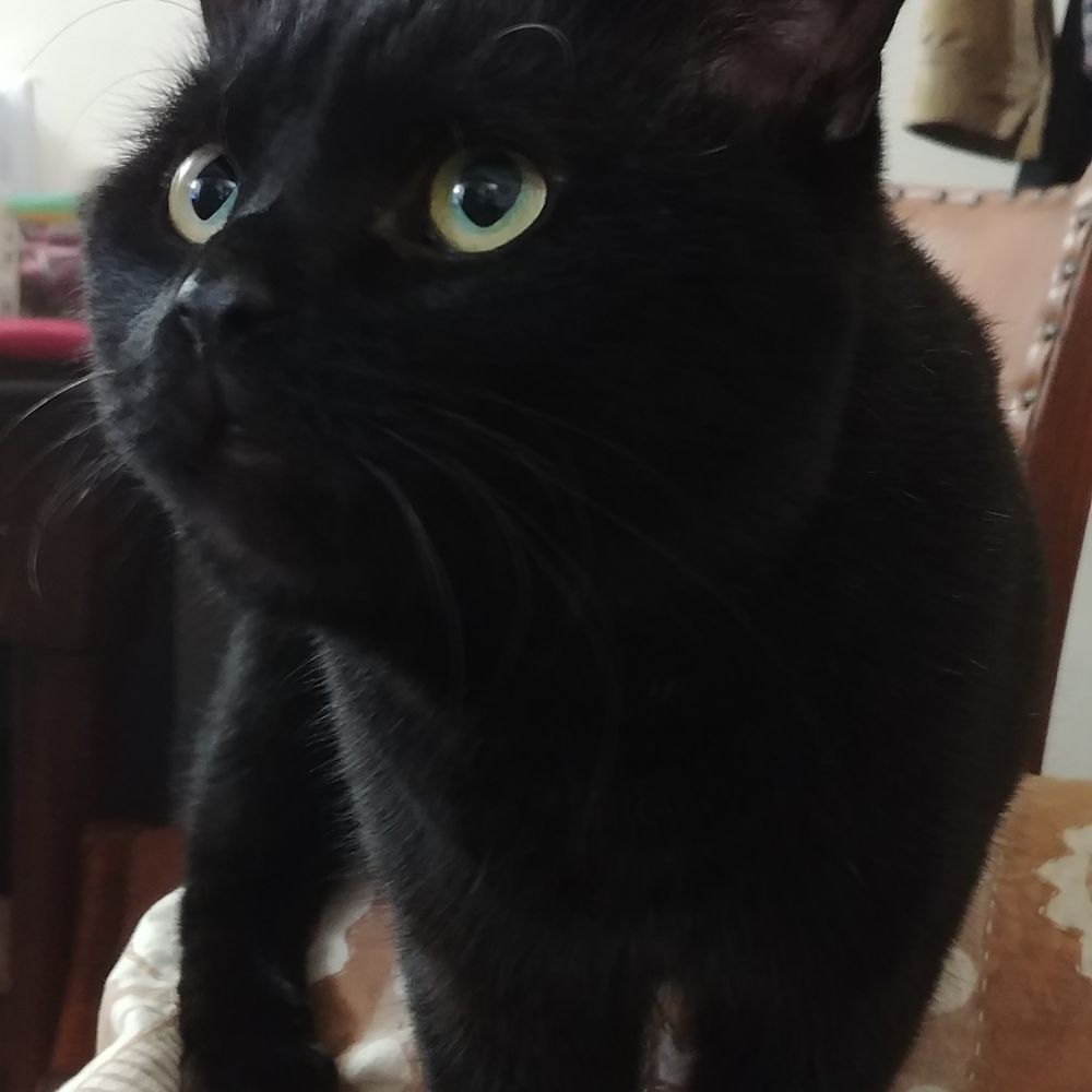 Pete