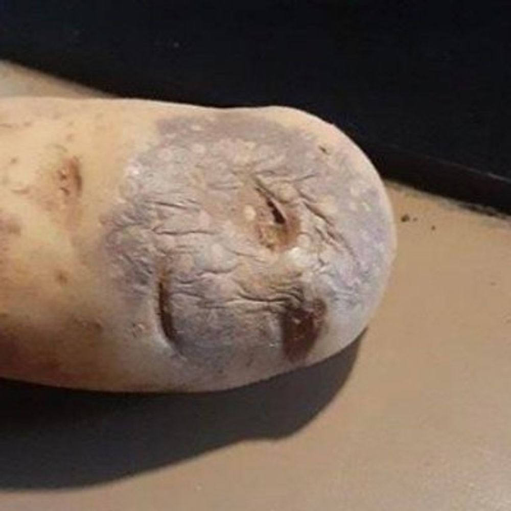 ✌🏼🥔
