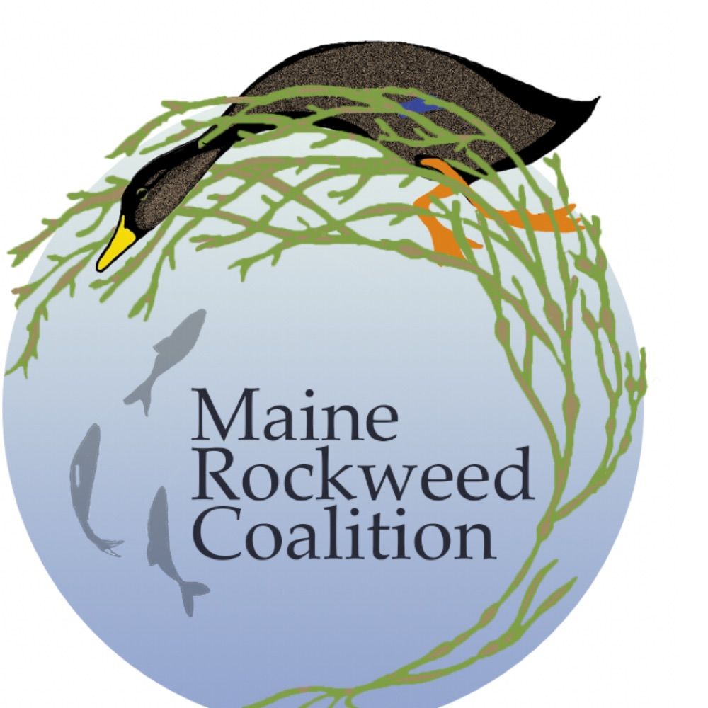 Maine Rockweed Coalition