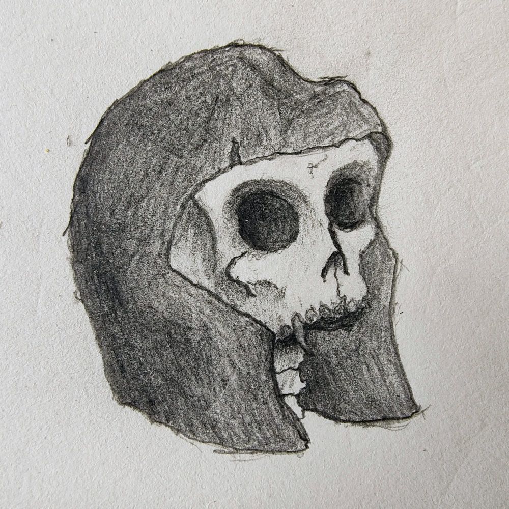 dedonet.bsky.social profile picture