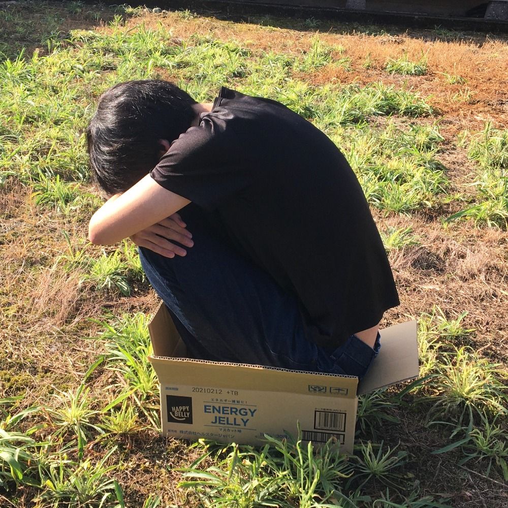 これはペンですか？いいえキャベツです。