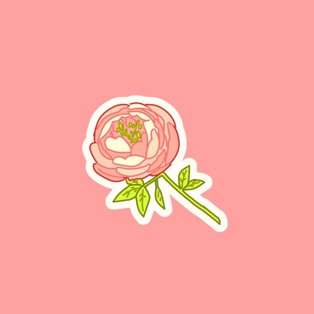 しゃげ