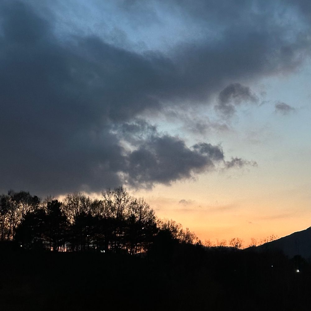 콜라