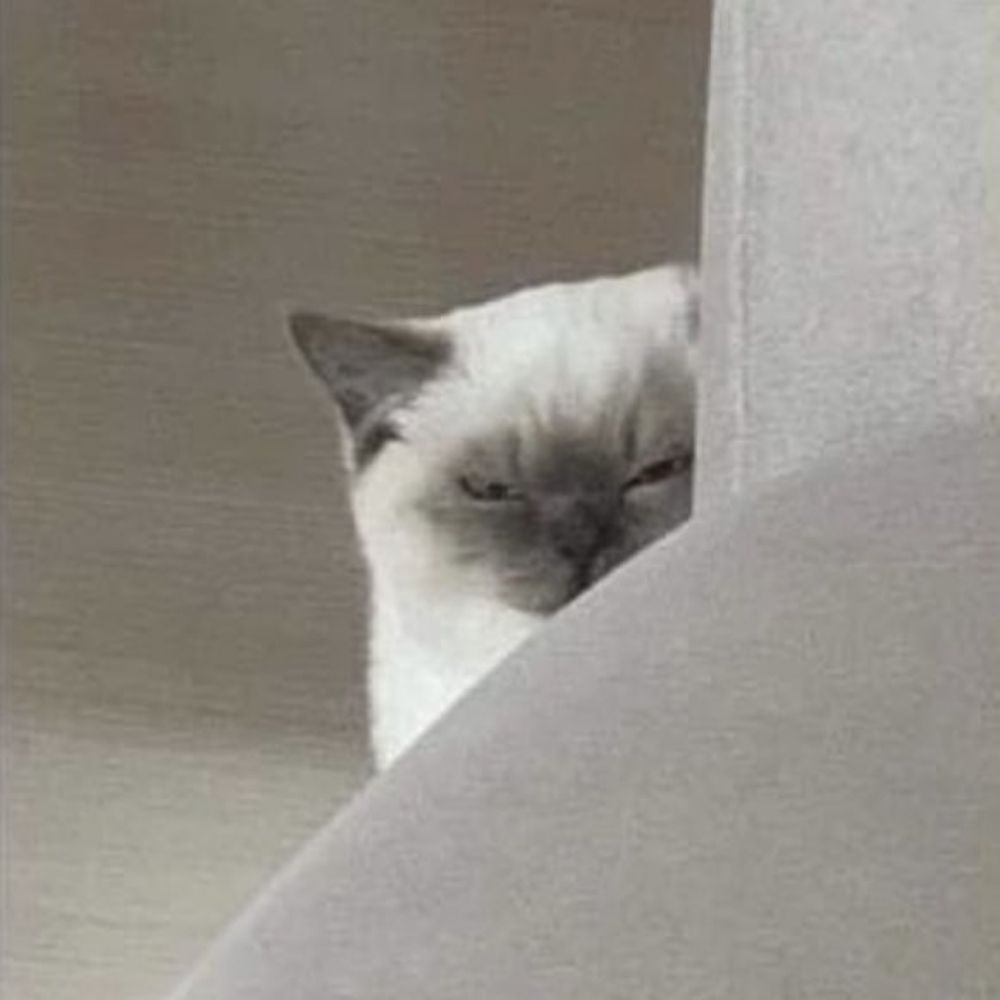 멀바