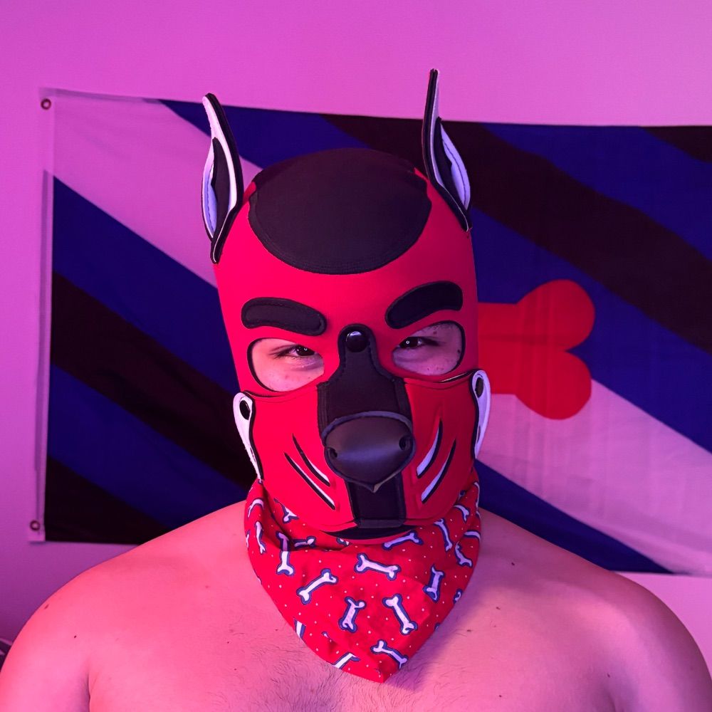 Pup Dio