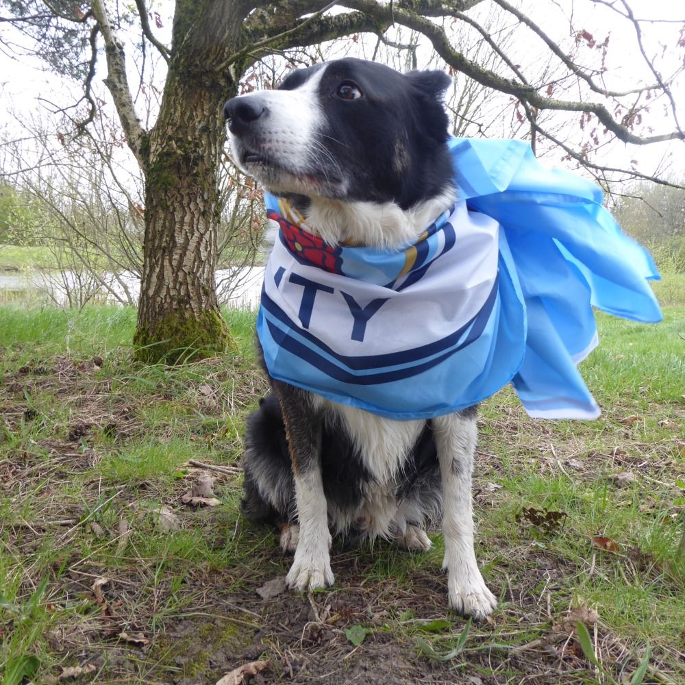 Barney Blue Moon MCFC