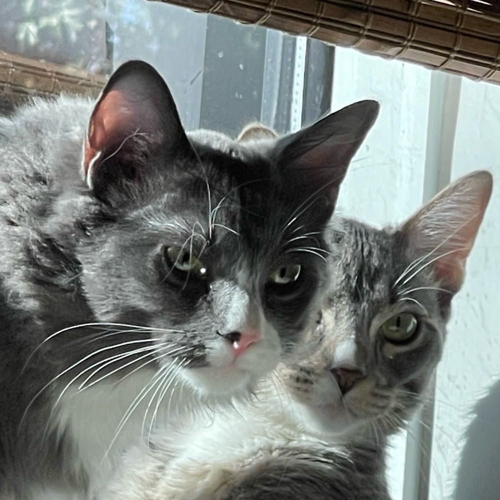 Kevin & Chad