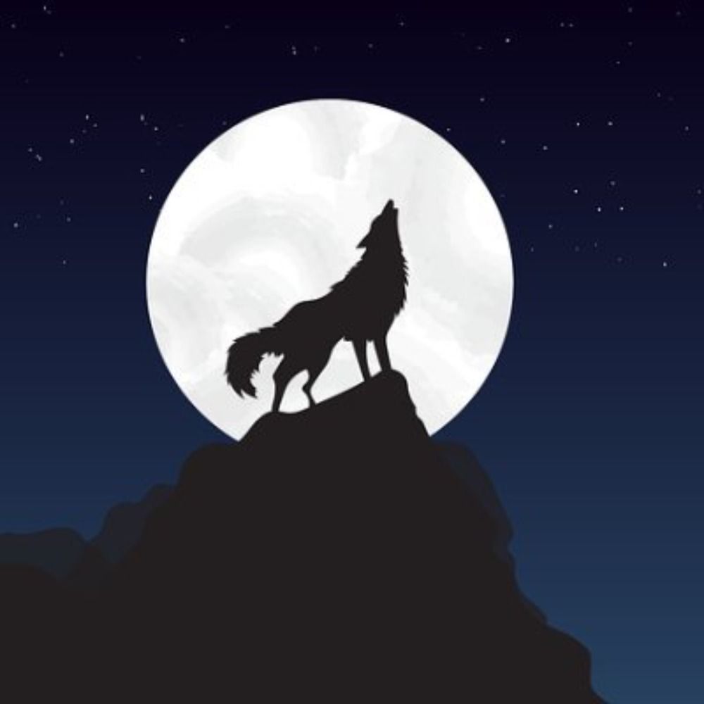 Louise🌙🐺