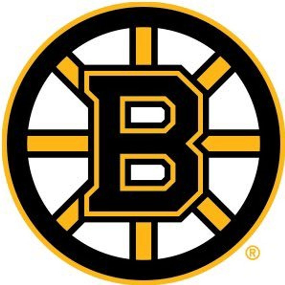 Boston Bruins