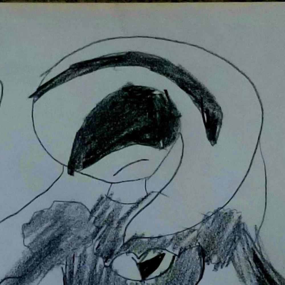 Ray Shapeshifter