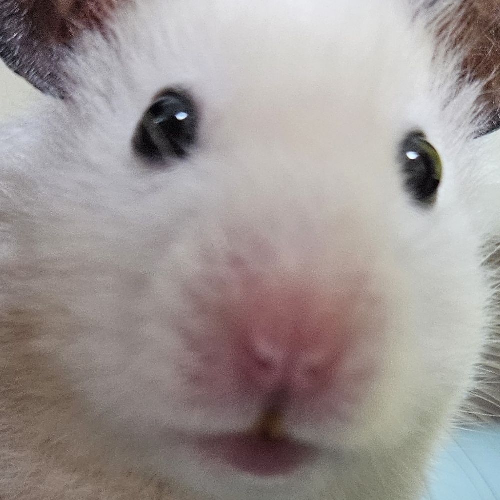 철노