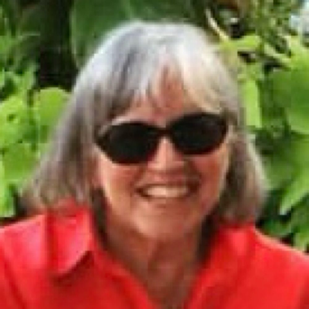 sjcerrone.bsky.social profile picture