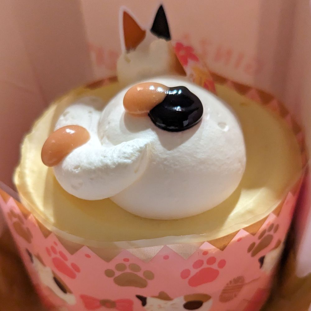 雪乃