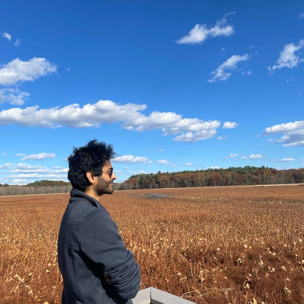 Rishav Mitra