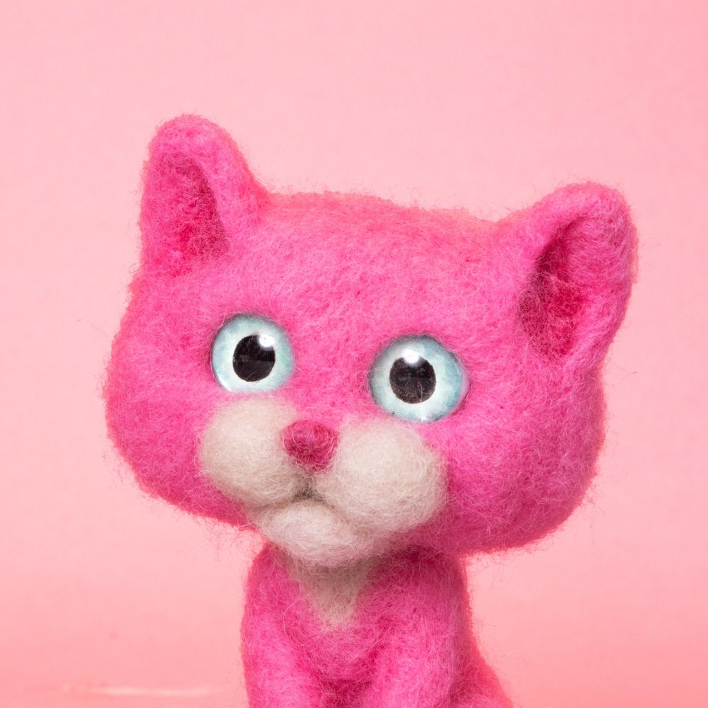 Kittenframes