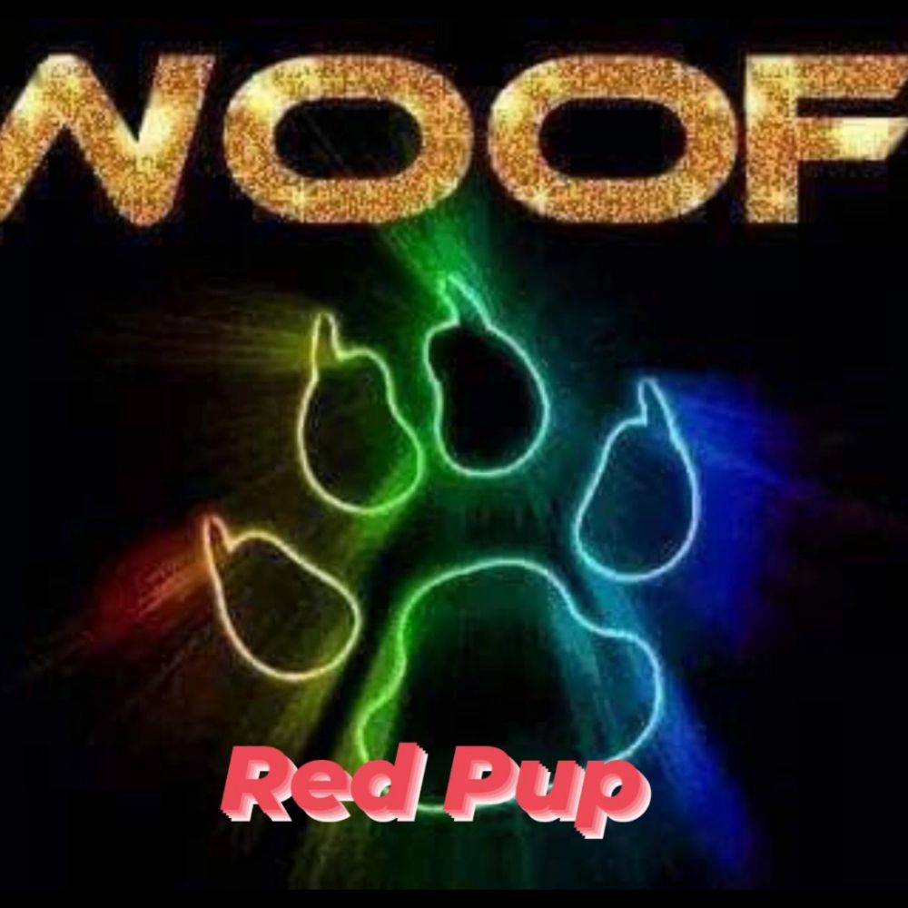 Red Pup 24
