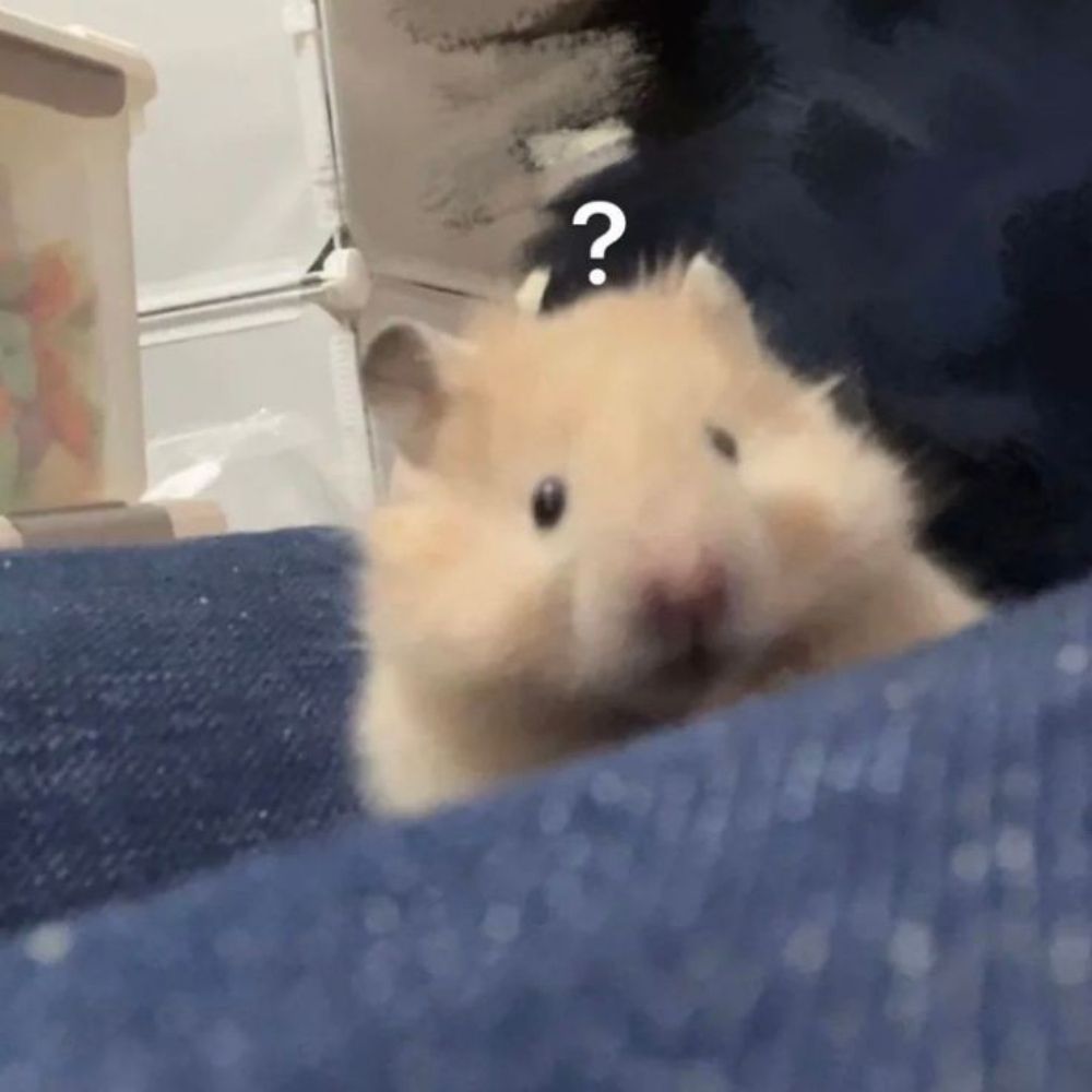 Kira 