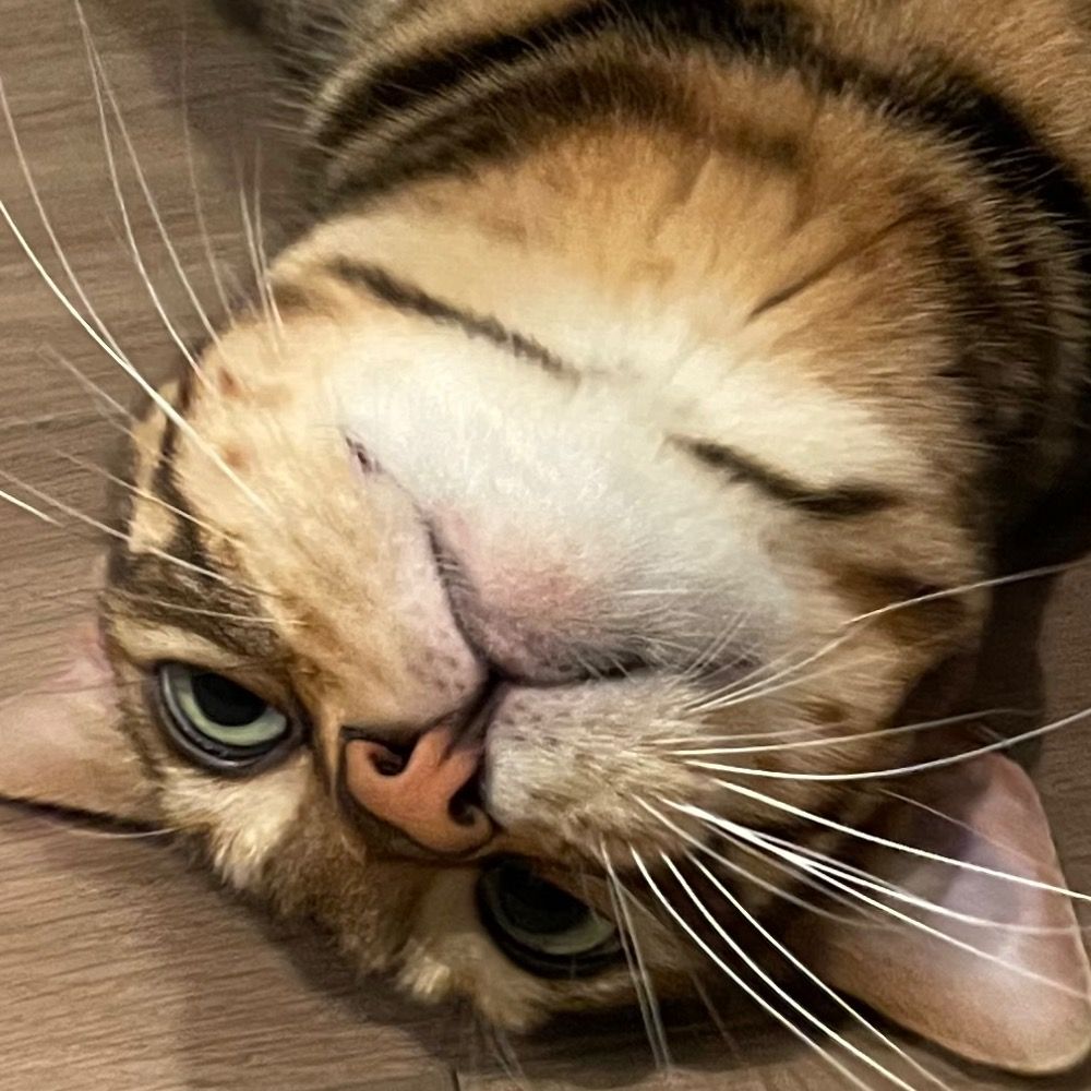 沖津