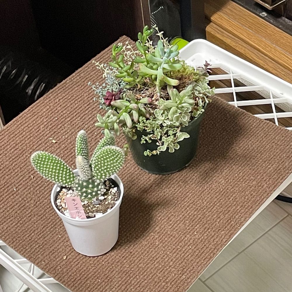あっきーな