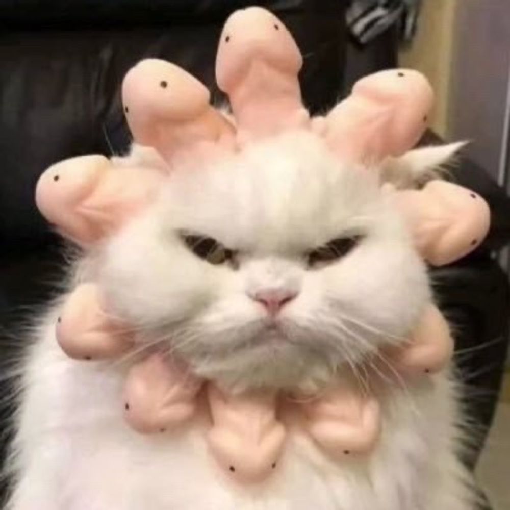 ملكه