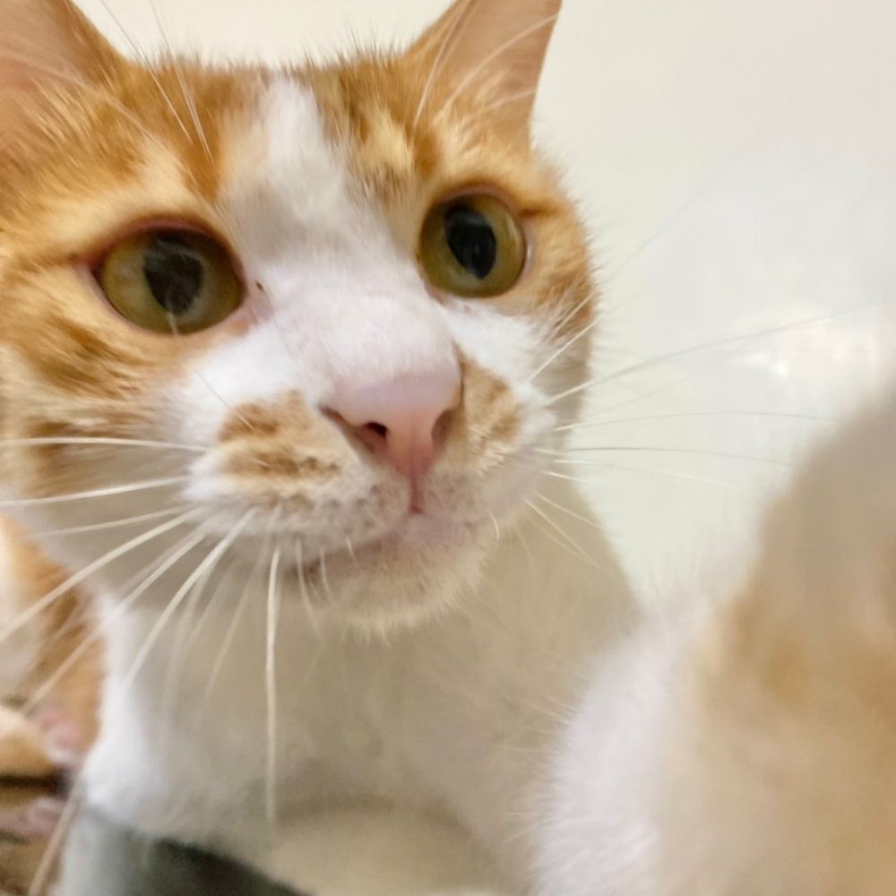 shuuei0208.bsky.social