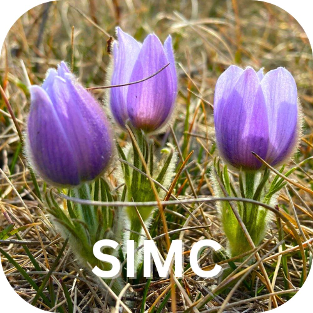 Saskatoon Insight Meditation Community